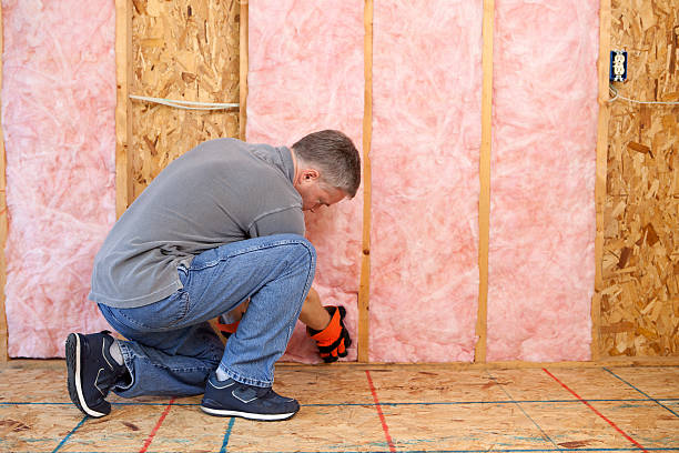 Professional Insulation in Cortland West, NY